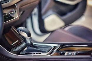 cc今日吃瓜网,揭秘娱乐圈最新热点，带你畅游八卦海洋