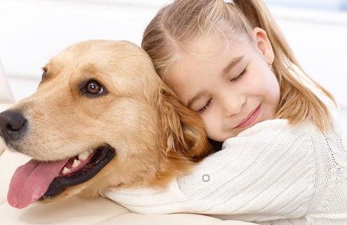 线条小狗吃瓜券