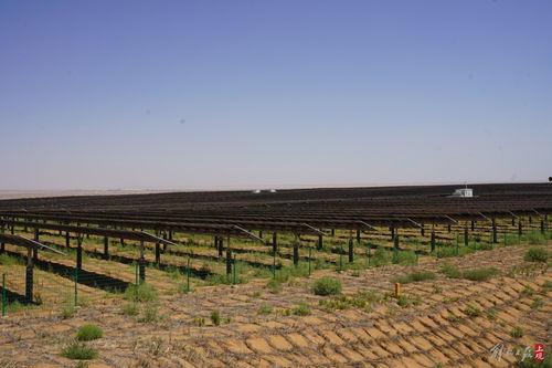 光伏板吃瓜,揭秘光伏板与吃瓜的奇妙结合