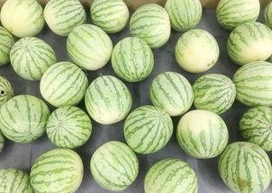 静儿吃瓜,揭秘娱乐圈幕后故事