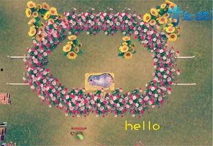 222吃瓜,揭秘娱乐圈背后的那些事儿