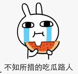 吃瓜网速,网络舆论场中的“瓜田”盛景