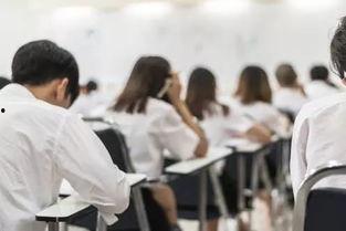 精英中学吃瓜,揭秘校园吃瓜背后的真相