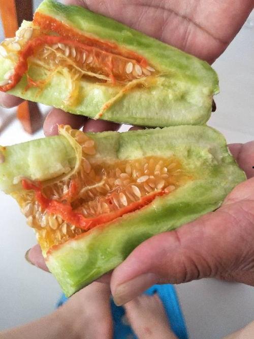 吃酥瓜的,夏日消暑新宠