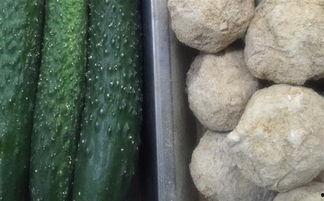 周口长垣吃瓜,瓜香四溢，品味民俗风情