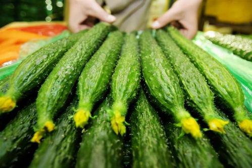 吃瓜吃到毒瓜,揭秘网络谣言的真相与危害