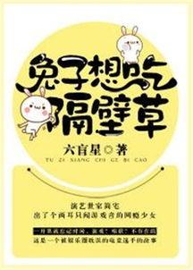 安心吃瓜小说免费阅读,免费畅读小说，揭秘娱乐圈幕后风云