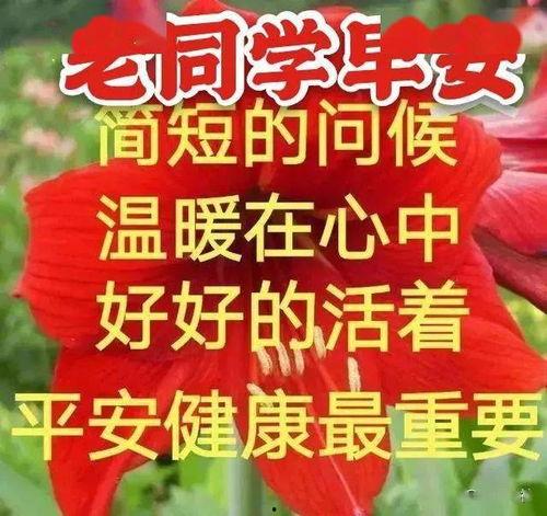 温暖同学吃瓜文案,揭秘校园生活趣味瞬间