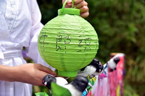 单身人吃瓜,揭秘单身人士的美食世界