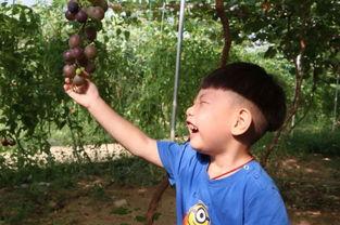 宝妈吃瓜合集,揭秘育儿圈那些事儿