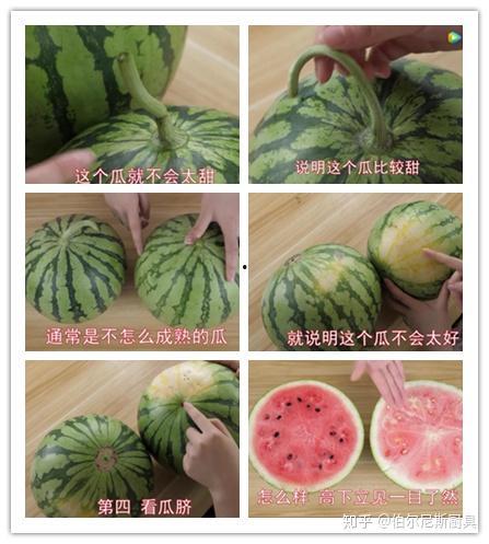 如何看待网上吃瓜,揭秘虚拟世界的围观文化