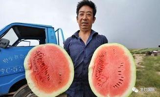 如何看待网上吃瓜,揭秘虚拟世界的围观文化