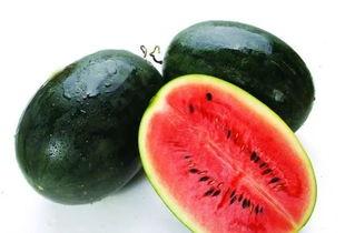 ptcg吃瓜的楠,揭秘PTCG吃瓜背后的精彩故事