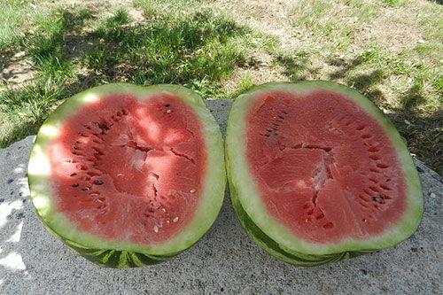 梦到买面瓜吃,面瓜美食之旅