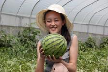 贵州棚瓜怎么吃,贵州棚瓜的多样食法探索