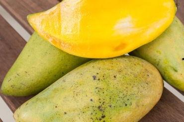 吃瓜网站梨什么,吃瓜网站背后的故事与真相