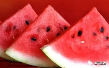 用命吃瓜,一场生死较量中的神秘冒险