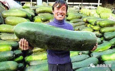 吃瓜群众里面的瓜,一场全民参与的娱乐盛宴