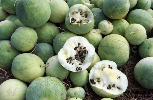 全球最新吃瓜视频,揭秘娱乐圈幕后风云