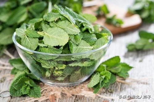 叶子君吃瓜,叶子君的瓜田奇遇记