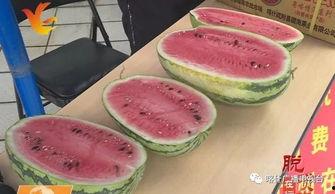 比耶吃瓜,揭秘网络红人的瓜田奇遇