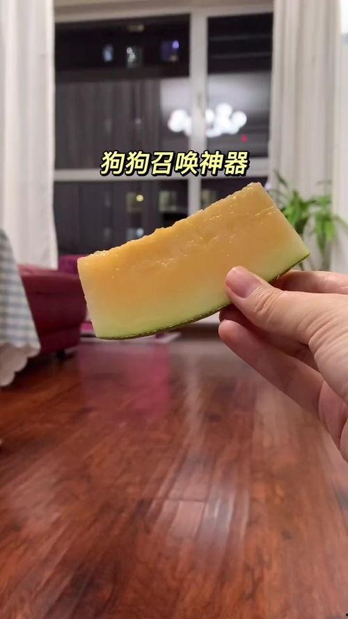吃哈密瓜小针,探寻甜蜜背后的奇妙之旅