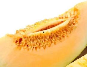 吃蜜瓜嘴里起泡,揭秘嘴里起泡的奥秘