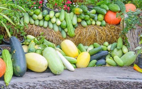 入夏后吃三瓜,夏日消暑三瓜养生攻略