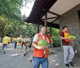 吃瓜群众在菜场,揭秘日常生活中的趣味瞬间