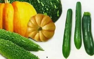 吃瓜指南针,轻松掌握娱乐圈热点，成为八卦达人