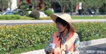 吃瓜七阿姨,吃瓜七阿姨带你领略明星幕后故事