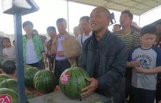 邯郸吃瓜群众,吃瓜群众热议时事风云