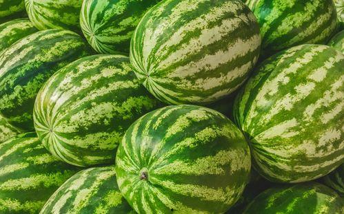 揭阳榕城吃瓜事件视频,一场引发热议的网络视频风波