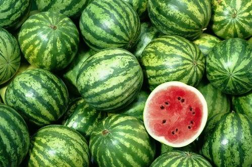 网曝吃瓜今日吃瓜吉视网,吉视网今日热点事件大盘点