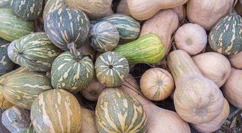 盐城女吃瓜,揭秘网络舆论背后的真相与反思