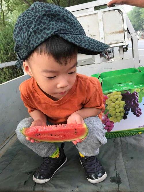 吃瓜周岁照,吃瓜宝宝萌态百出