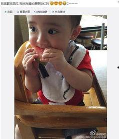 吃瓜周岁照,吃瓜宝宝萌态百出