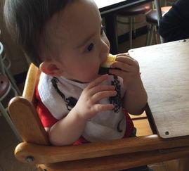 吃瓜周岁照,吃瓜宝宝萌态百出