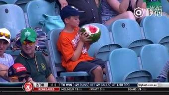 吃瓜少年电影大全,盘点那些让人笑到肚子疼的喜剧佳作