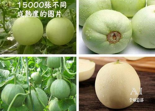 吃瓜群众开心果,揭秘娱乐圈幕后趣闻