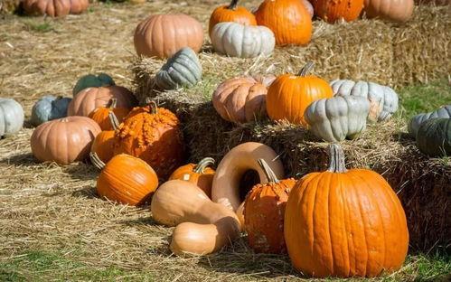 吃瓜群众开心果,揭秘娱乐圈幕后趣闻