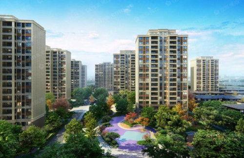 吃瓜世茂滨,吃瓜群众眼中的繁华盛景