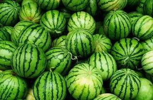 绿色吃瓜群,揭秘网络社交新风尚