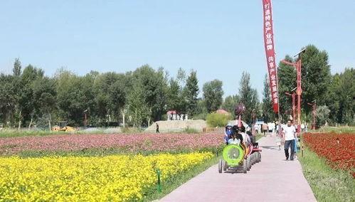 做梦吃花田瓜,花田瓜果的奇幻之旅