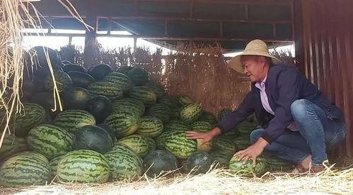 冰点吃瓜,揭秘娱乐圈的冰山一角