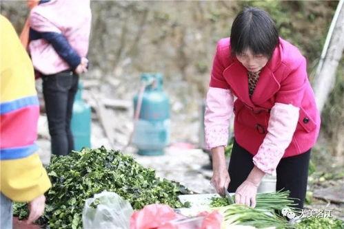 大型吃瓜节目有哪些