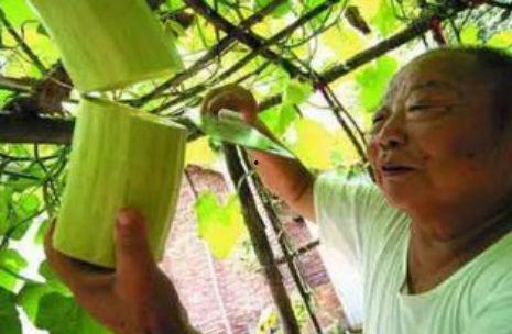 砍瓜怎么吃呢,探索美味新境界