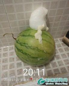 泡泡吃瓜网打不开,揭秘背后原因及应对策略