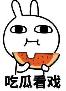 束手瓜怎样吃,解锁美味新体验