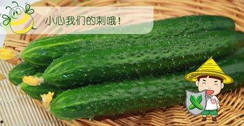 吃瓜六悦,揭秘娱乐圈的甜蜜与苦涩